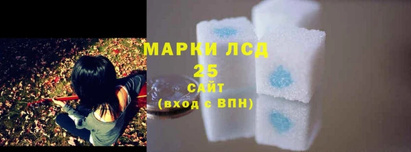 гашик Липки