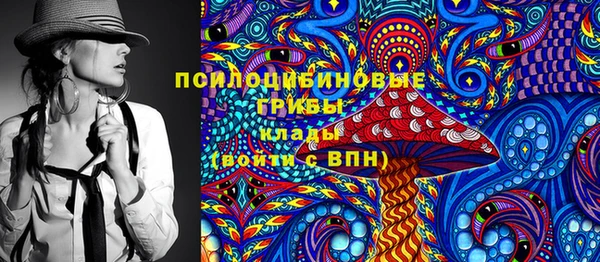 гашик Липки
