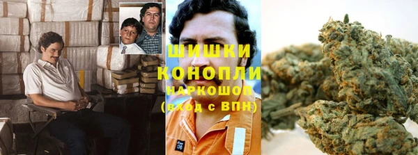 гашик Липки