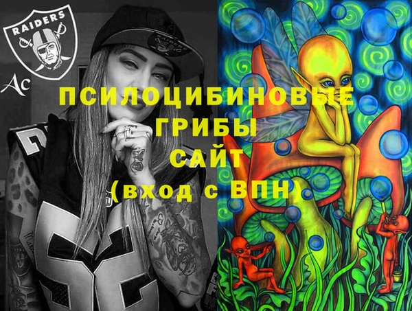 стафф Магадан